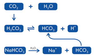 Figure 1-01