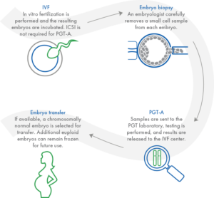 PGT-A-process