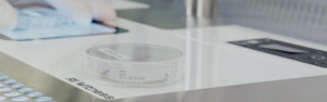 RIWitness-fullBanner3