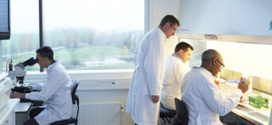 TrainingBanner-5-larger