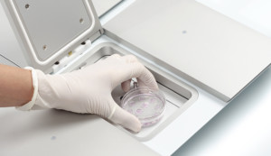 incubator-dish