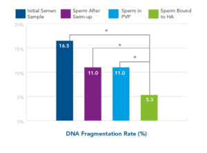 reduction-DNA-fragmentation