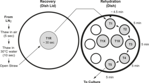 thawing-diagram