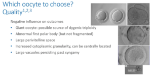 which oocyte to choose